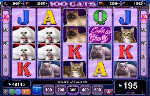 Kasyno Gra 100 Cats Online Za Darmo